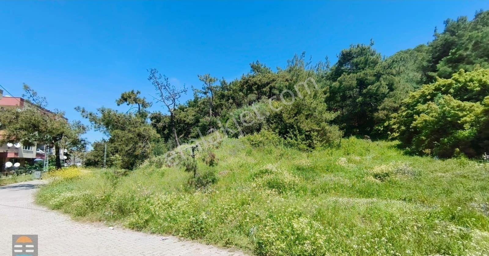 Sarımsaklı Kiralık 2+1 Balkonlu Barbekülü Daire Orman Manzaralı - Görsel 22