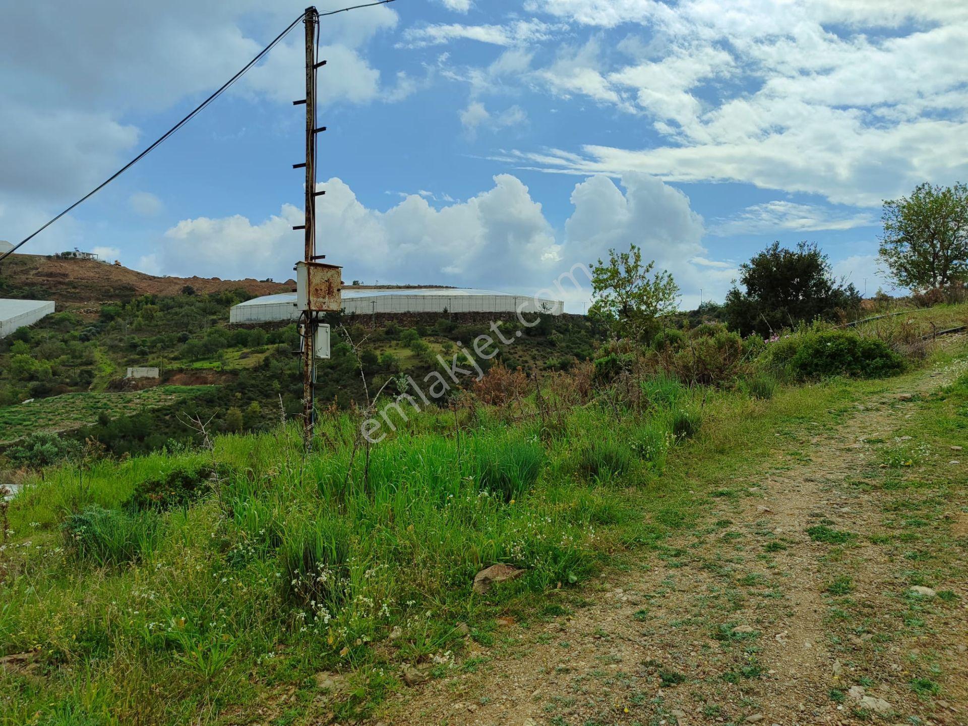 Mersin Anamur Melleç Satılık Tarla - Görsel 6