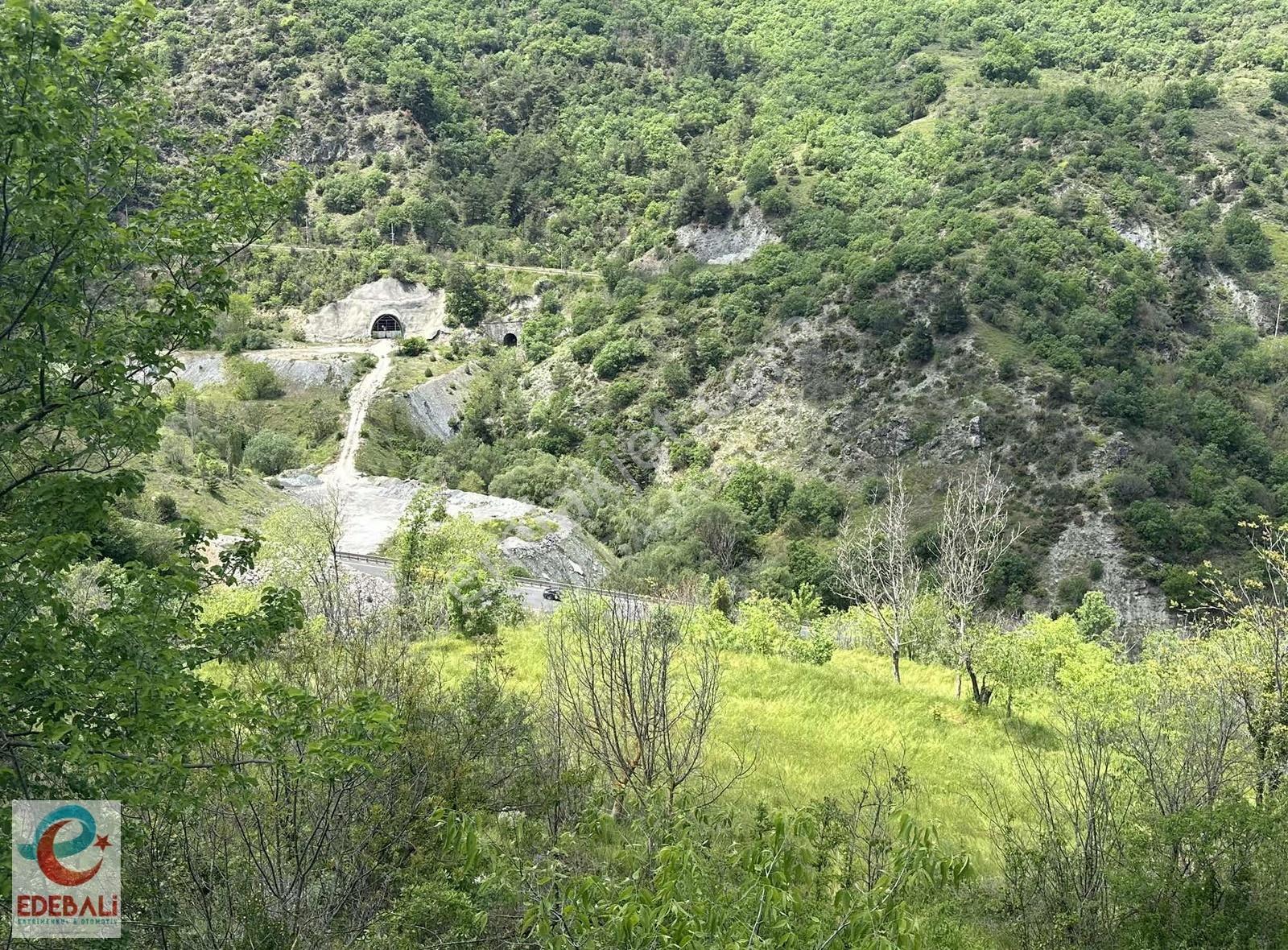 Ahmetpınarda 6.224 M2 Bahçe Araç Takaslı Fırsat - Görsel 3