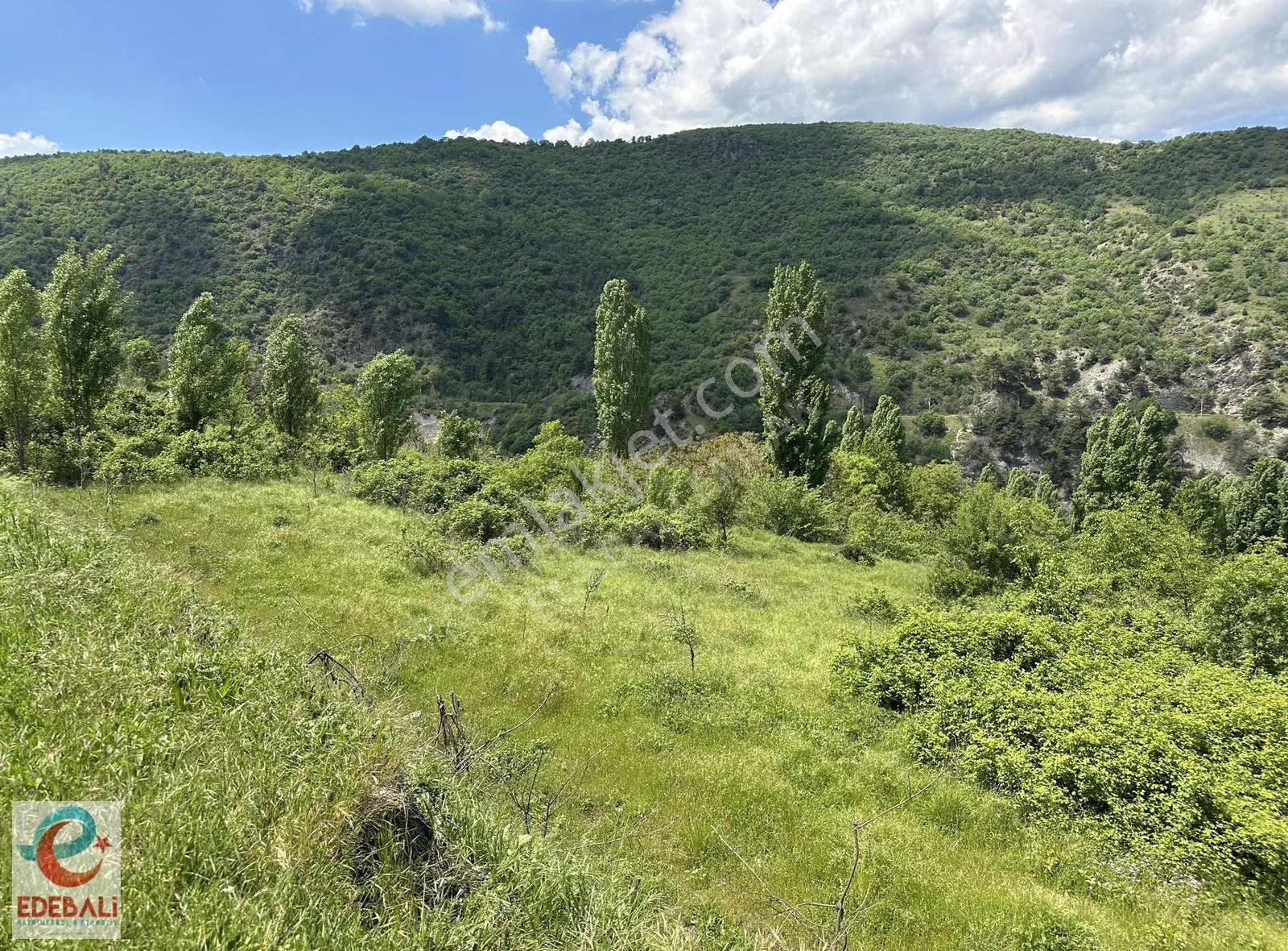 Ahmetpınarda 6.224 M2 Bahçe Araç Takaslı Fırsat - Görsel 8