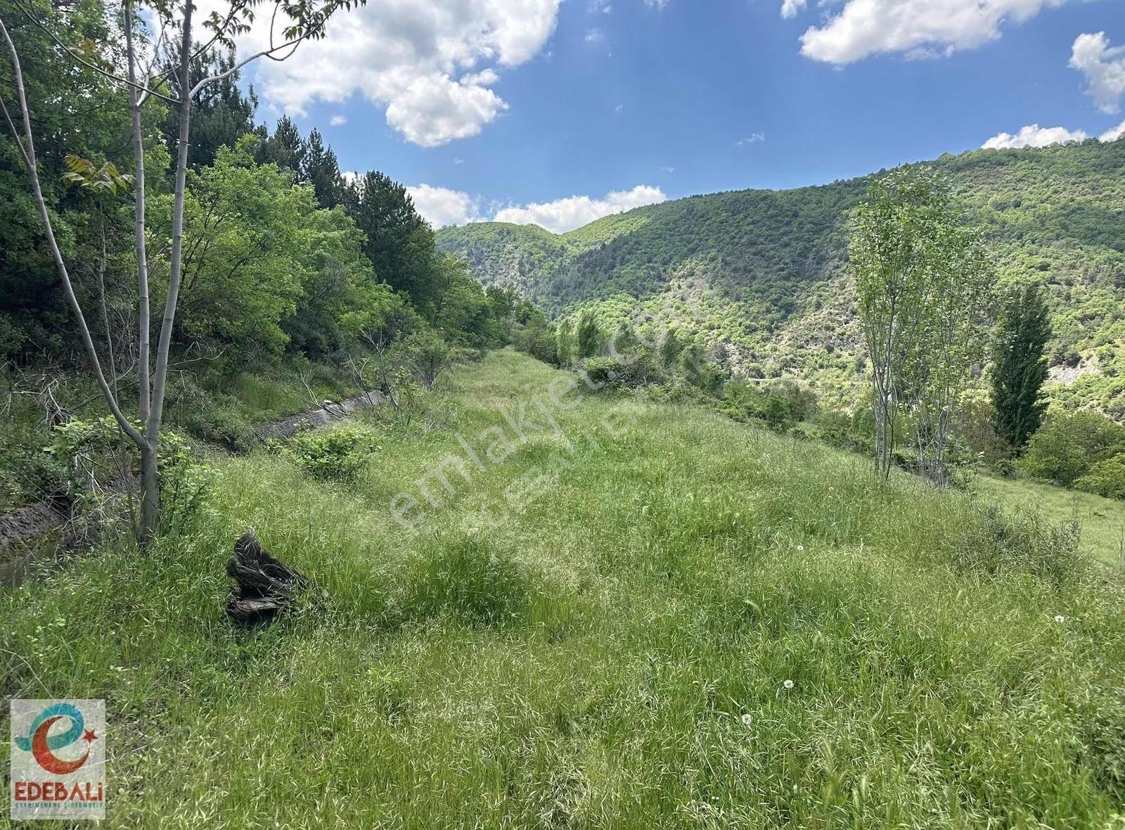 Ahmetpınarda 6.224 M2 Bahçe Araç Takaslı Fırsat - Görsel 10