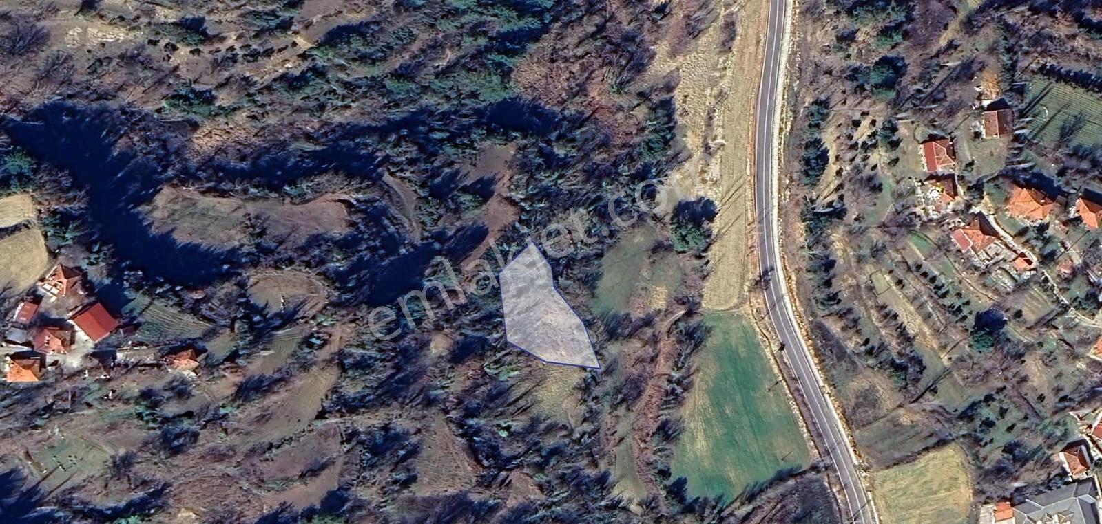 Muğla Menteşe Dokuzçamda 1220m2 Satılık Tarla - Görsel 6