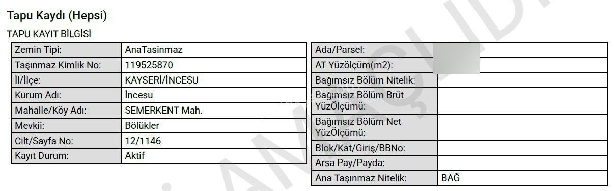 İncesu Semerkentte Satılık Bağ - 8 Dönüm - Görsel 3