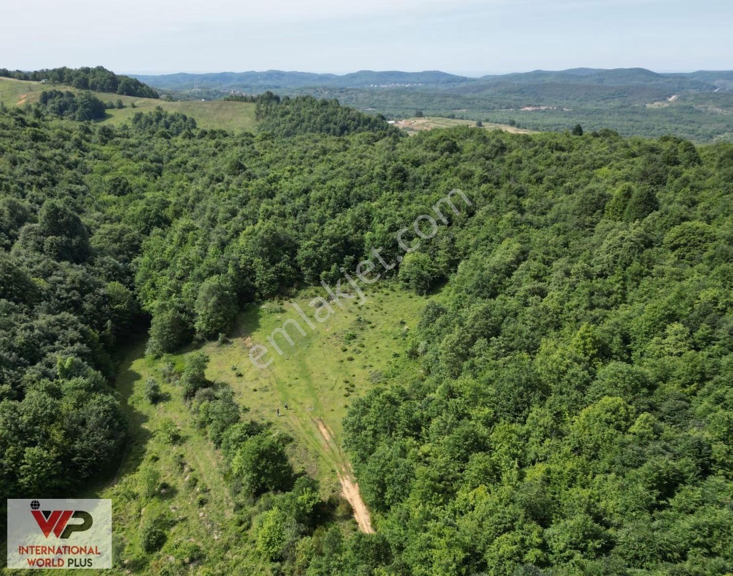 Şile Sortulluda Satılık 4163 M2 Arsa - Görsel 2