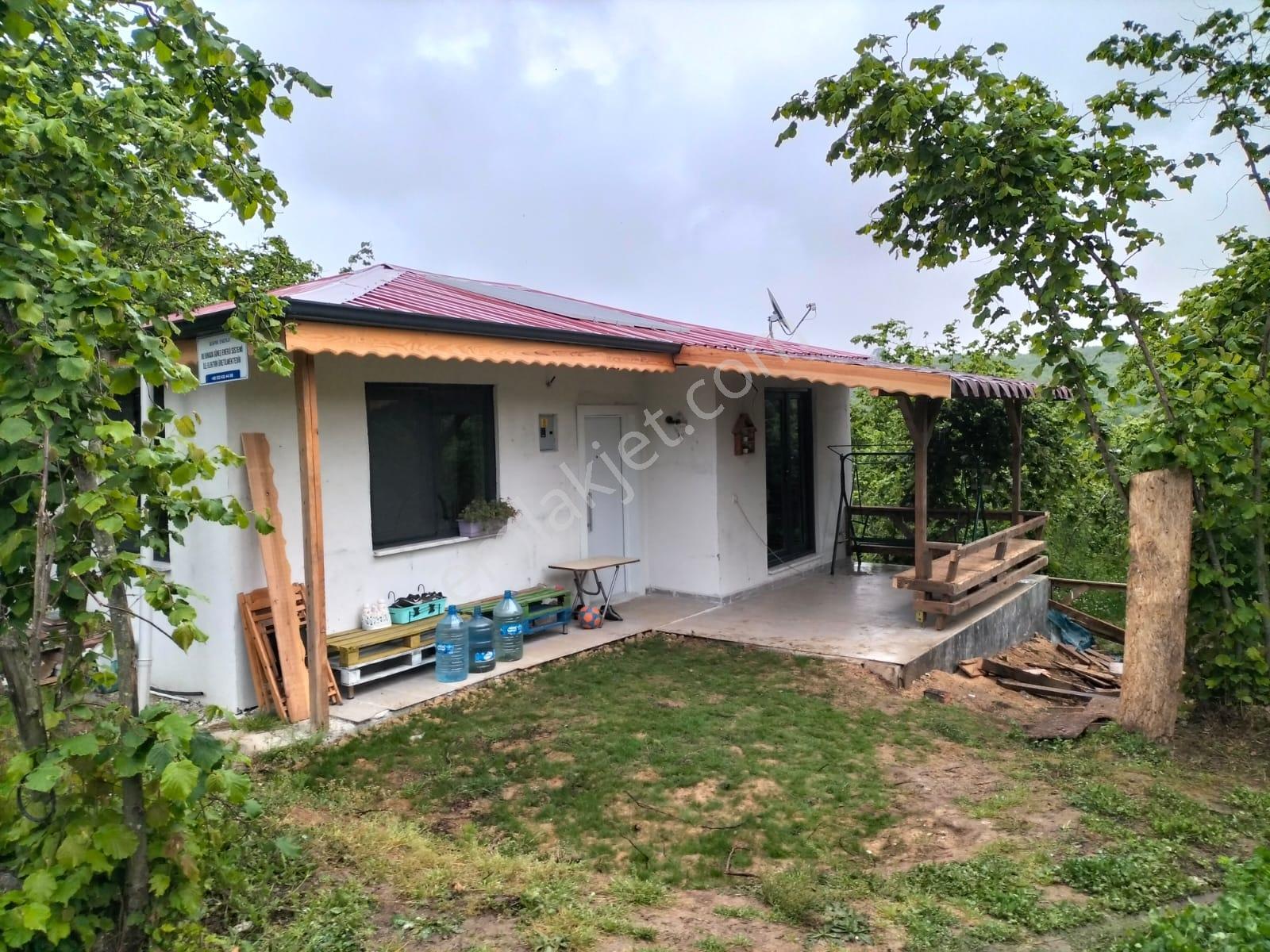 Remax Vira Ümit Doğan'dan Satılık Yola Cepheli Fındık Bahçesi - Görsel 4