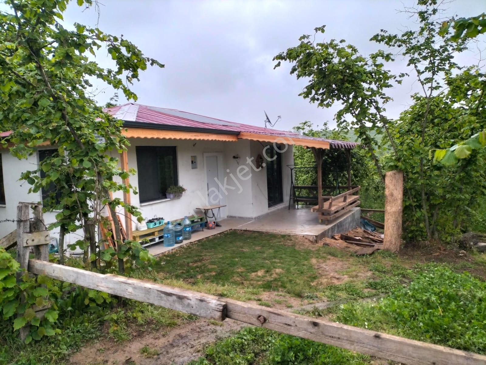 Remax Vira Ümit Doğan'dan Satılık Yola Cepheli Fındık Bahçesi - Görsel 6