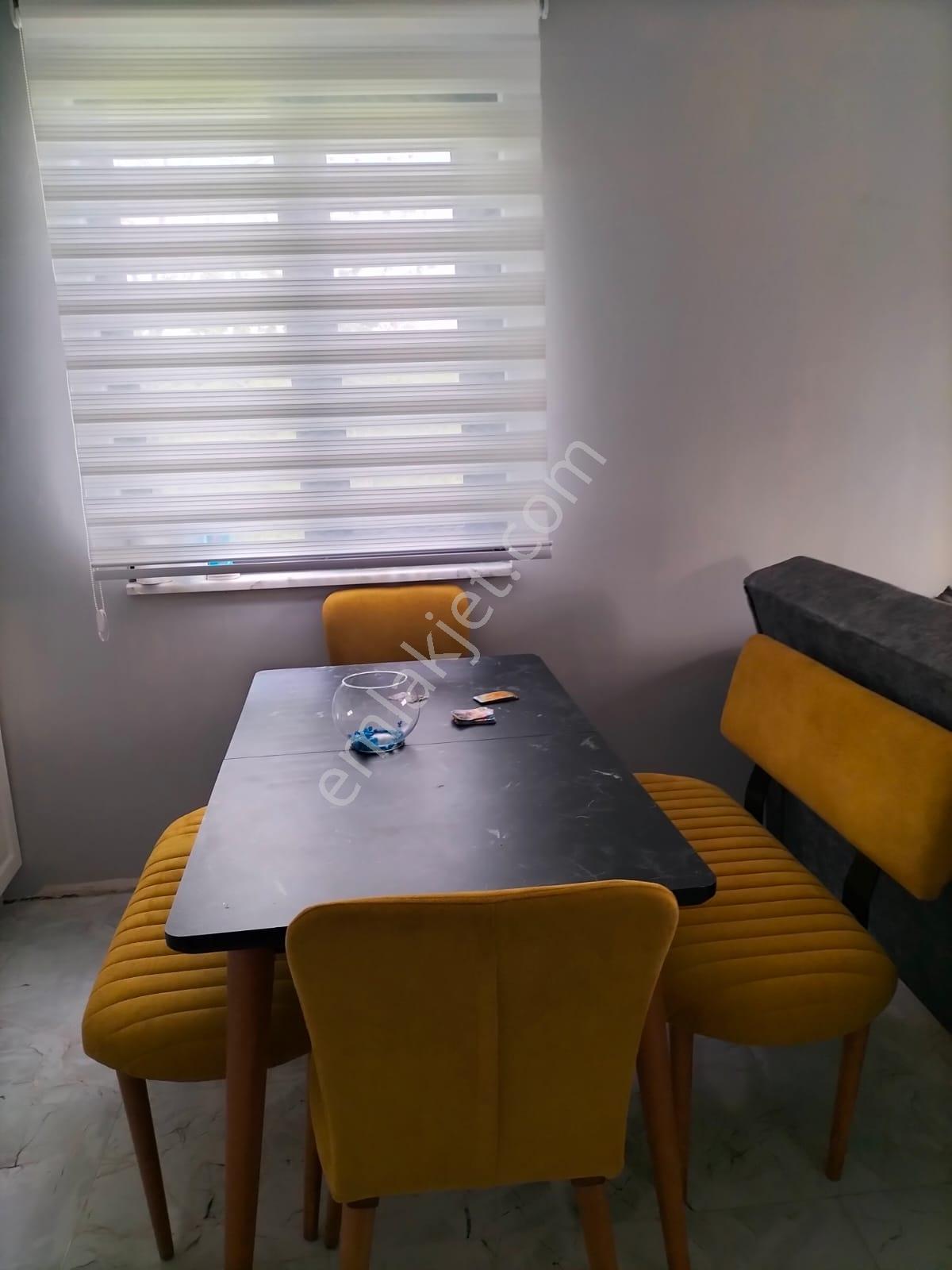 Remax Vira Ümit Doğan'dan Satılık Yola Cepheli Fındık Bahçesi - Görsel 10