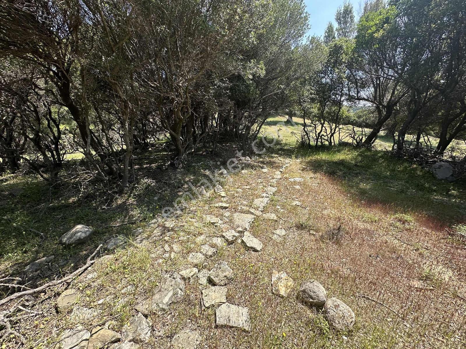 İmroz Emlak'tan Sit Dışında İçerisinde Yıkık Dam Bulunan Arazi - Görsel 18