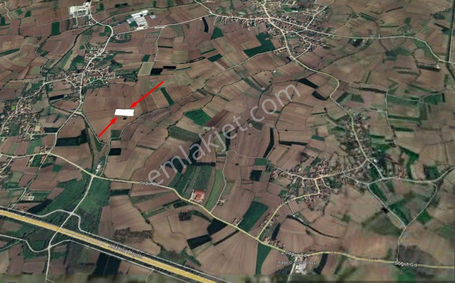 Sakarya Erenler Sarıcalar Satılık Tarla Remax İlknur Doğan Dan - Görsel 2