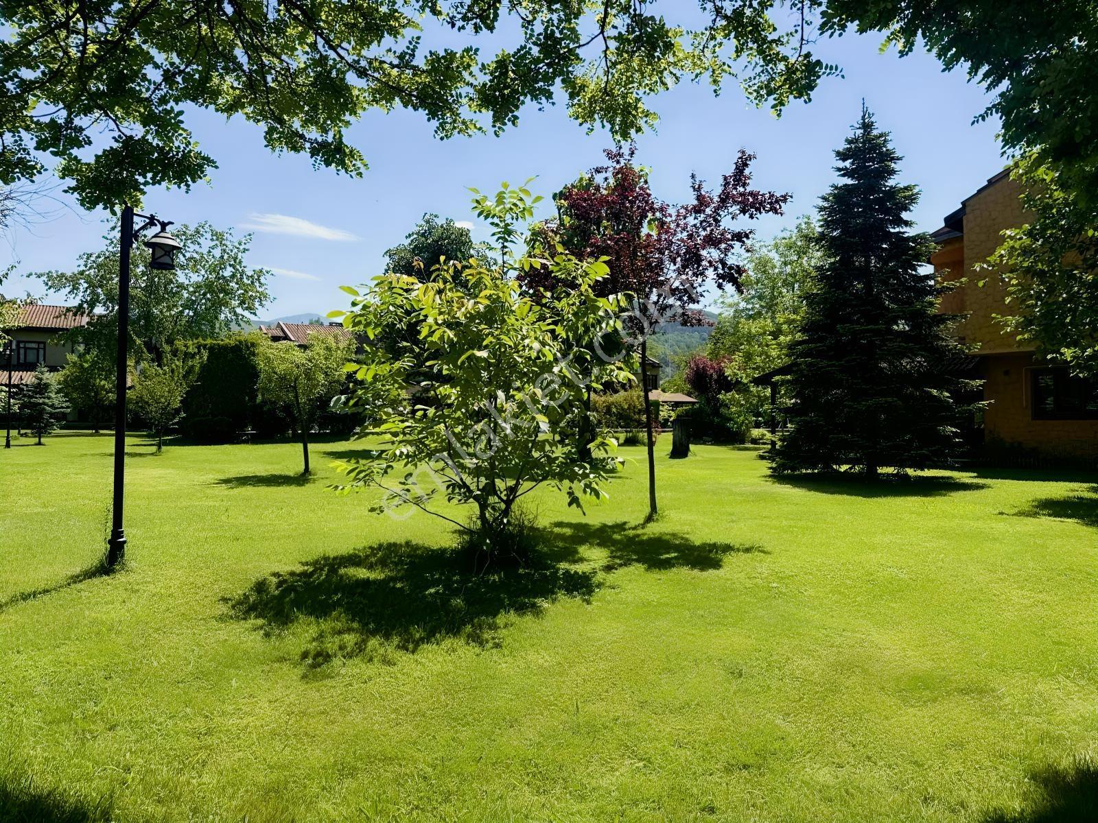 Sapanca Site Ve Doğa İçinde Müstakil Villa - Görsel 19