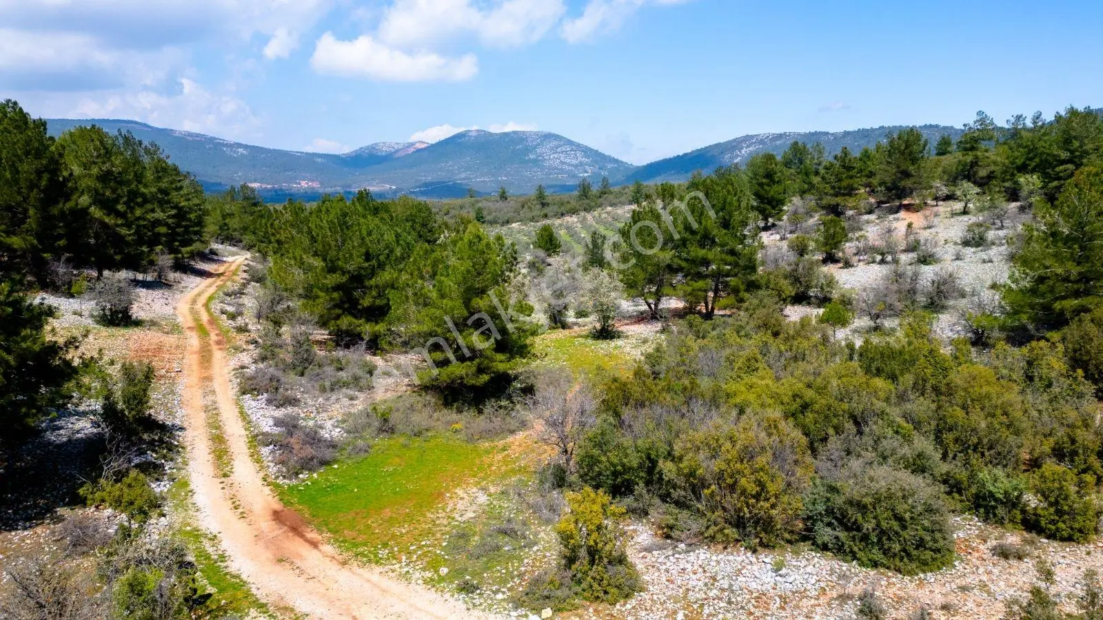 Muğla Menteşe Çiftlik Mahallesi'nde Satılık 18.400 M² Arazi - Görsel 8