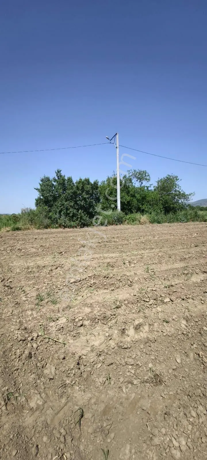 İzmir Bayındır Kızılcaovada Verimli 4136 M2 Tarla - Görsel 4