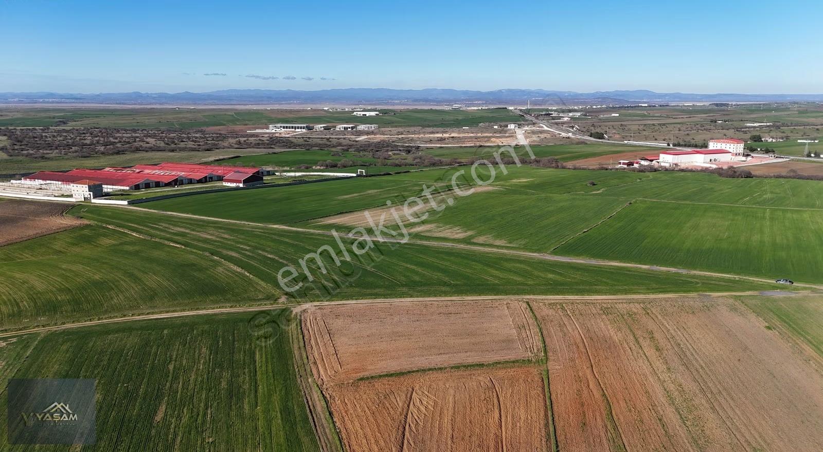 İpsala Osb Sınırında Gümrüğe 5 Dk 16.141 M² Fırsat Tarla - Görsel 5
