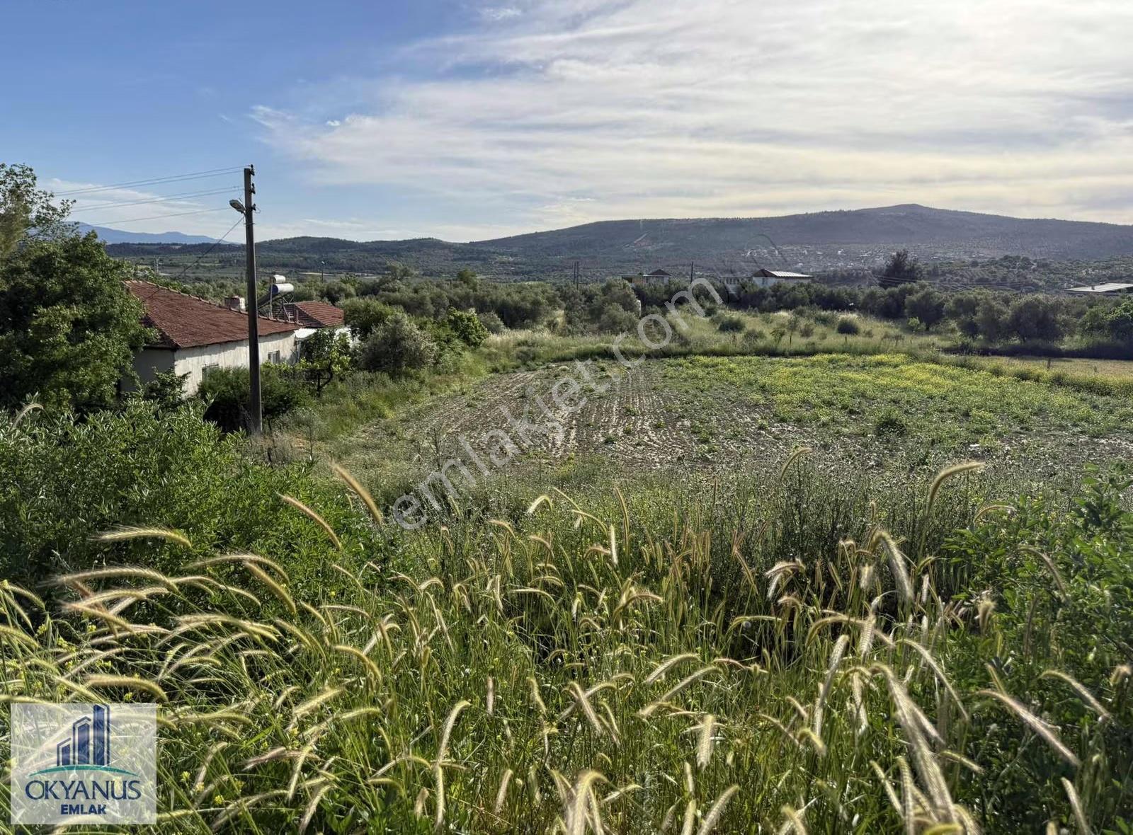Okyanus Emlak'tan Satılık İmar İçerisinde Kalıyor 1380 M2 - Görsel 4