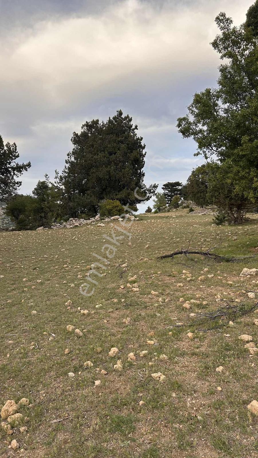 Mersin Mut Hacıahmetli Zeyker Yaylasında Satılık 700 M² Arazi - Görsel 11