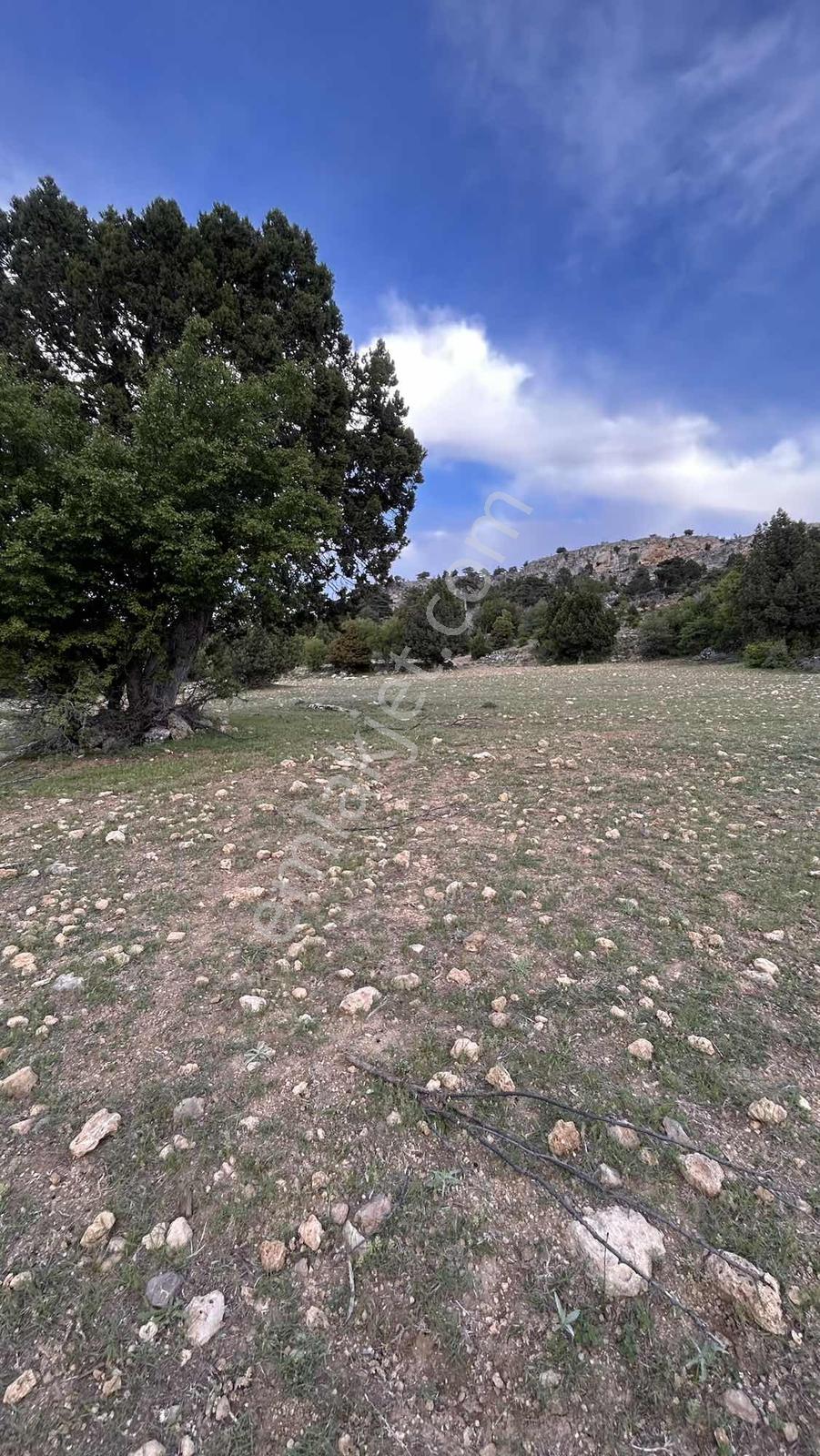 Mersin Mut Hacıahmetli Zeyker Yaylasında Satılık 700 M² Arazi - Görsel 13