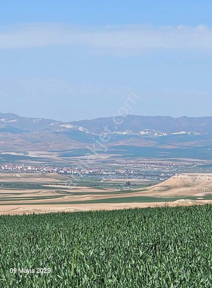 Sincan Ücret Mah İmara Yakın Tarla Satılık - Görsel 2