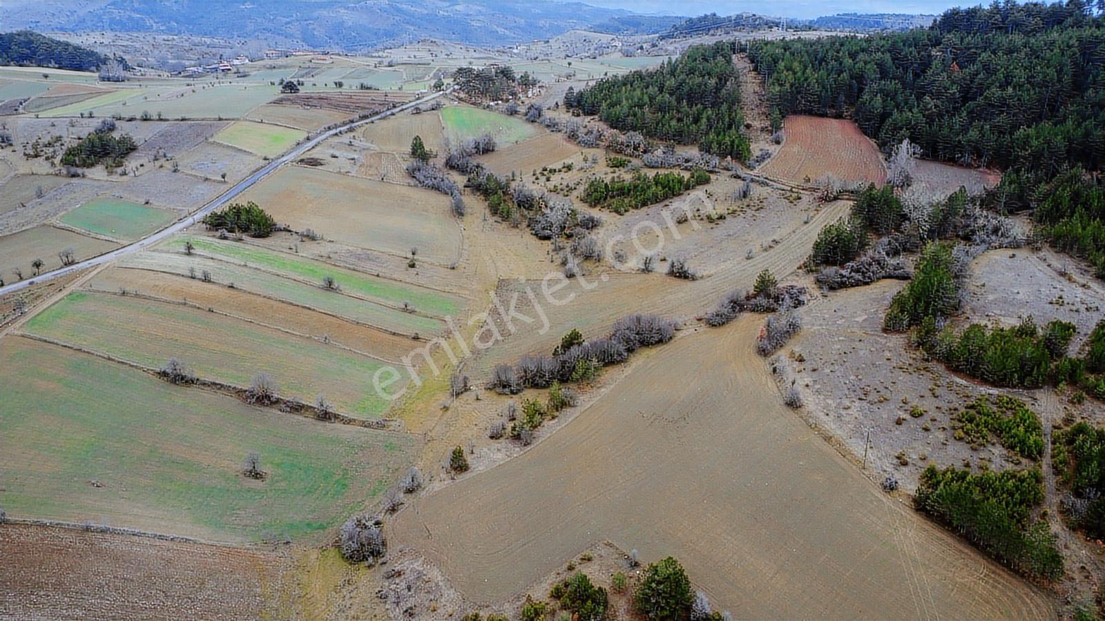 Kastamonu İhsangazi Dağyolu Köyünde 3200 Metre Resmi Yola Cephe - Görsel 35