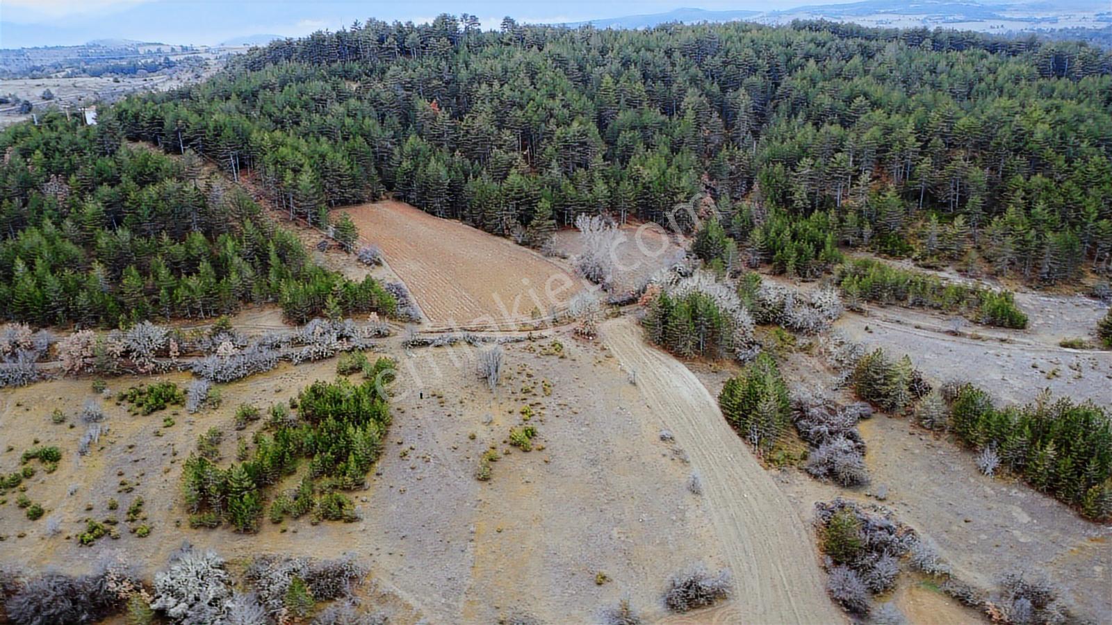 Kastamonu İhsangazi Dağyolu Köyünde 3200 Metre Resmi Yola Cephe - Görsel 31