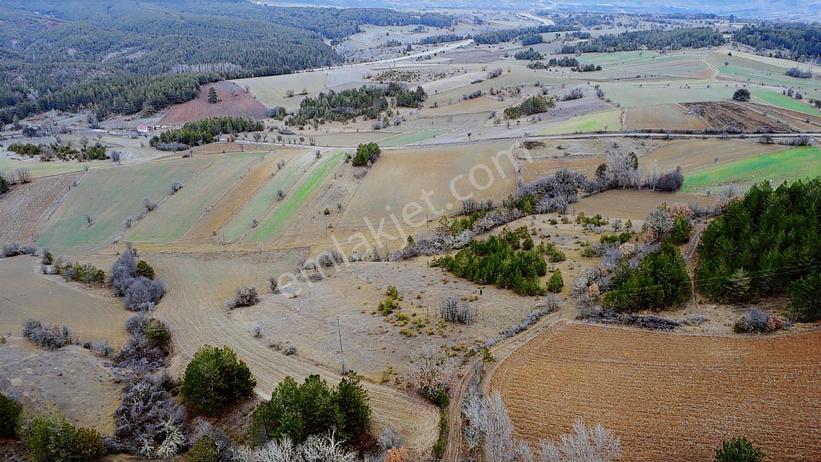 Kastamonu İhsangazi Dağyolu Köyünde 3200 Metre Resmi Yola Cephe - Görsel 5