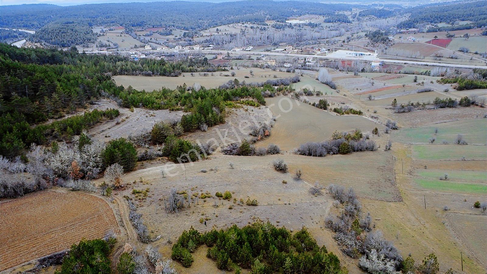 Kastamonu İhsangazi Dağyolu Köyünde 3200 Metre Resmi Yola Cephe - Görsel 15