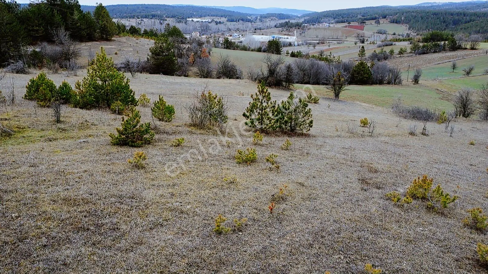 Kastamonu İhsangazi Dağyolu Köyünde 3200 Metre Resmi Yola Cephe - Görsel 32