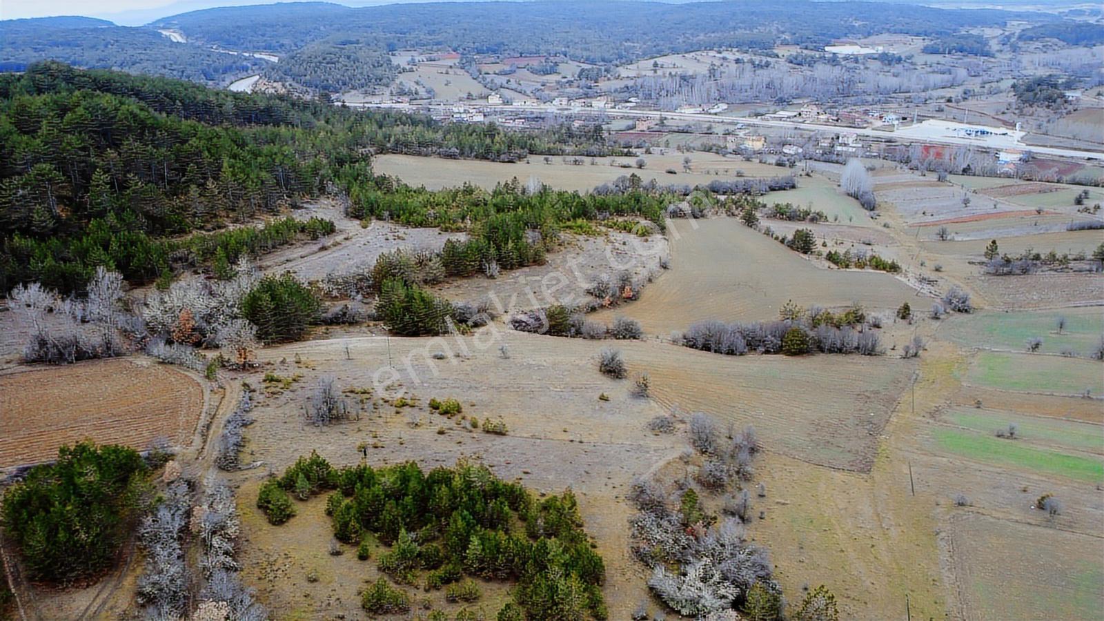 Kastamonu İhsangazi Dağyolu Köyünde 3200 Metre Resmi Yola Cephe - Görsel 25