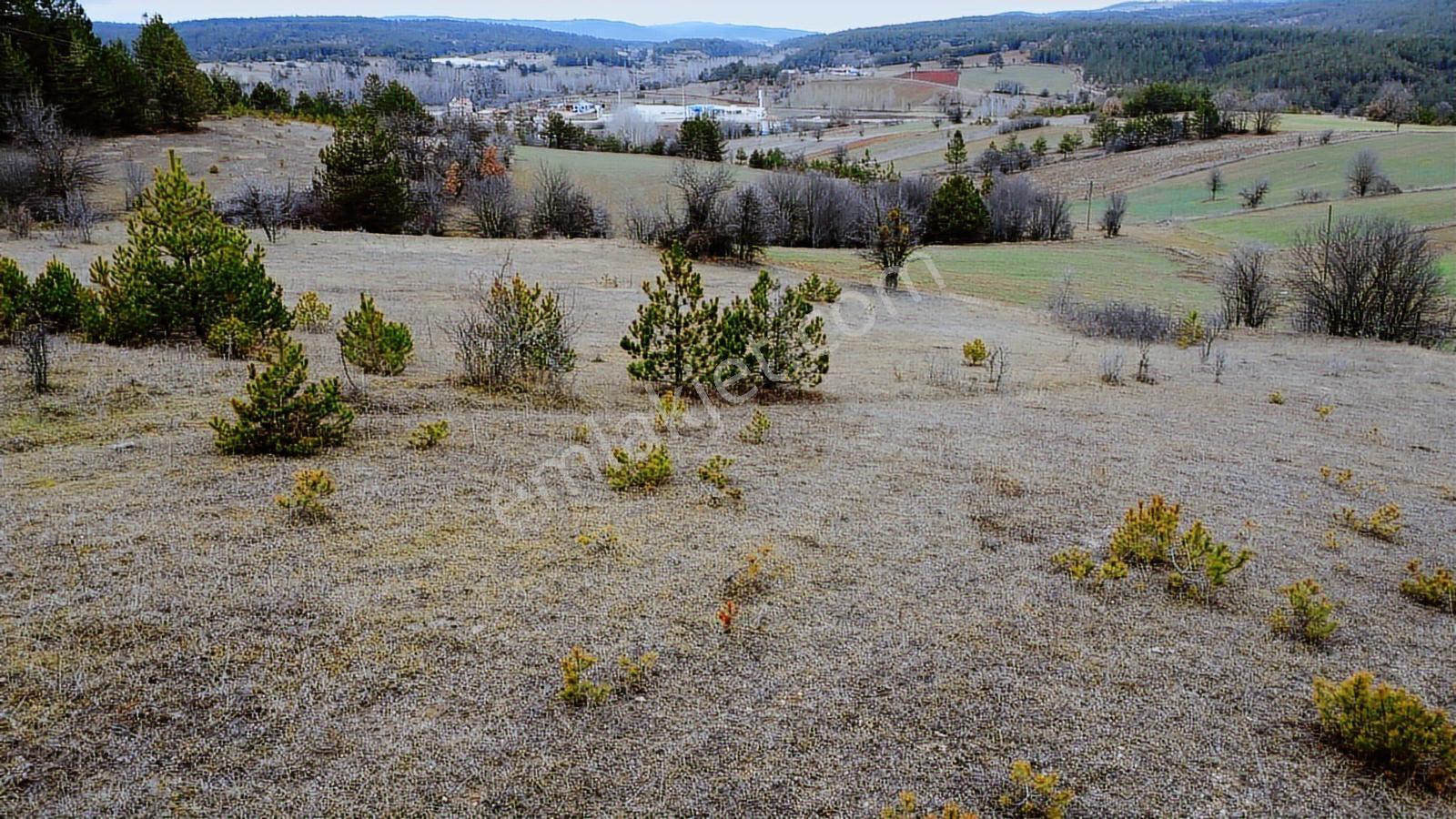 Kastamonu İhsangazi Dağyolu Köyünde 3200 Metre Resmi Yola Cephe - Görsel 8