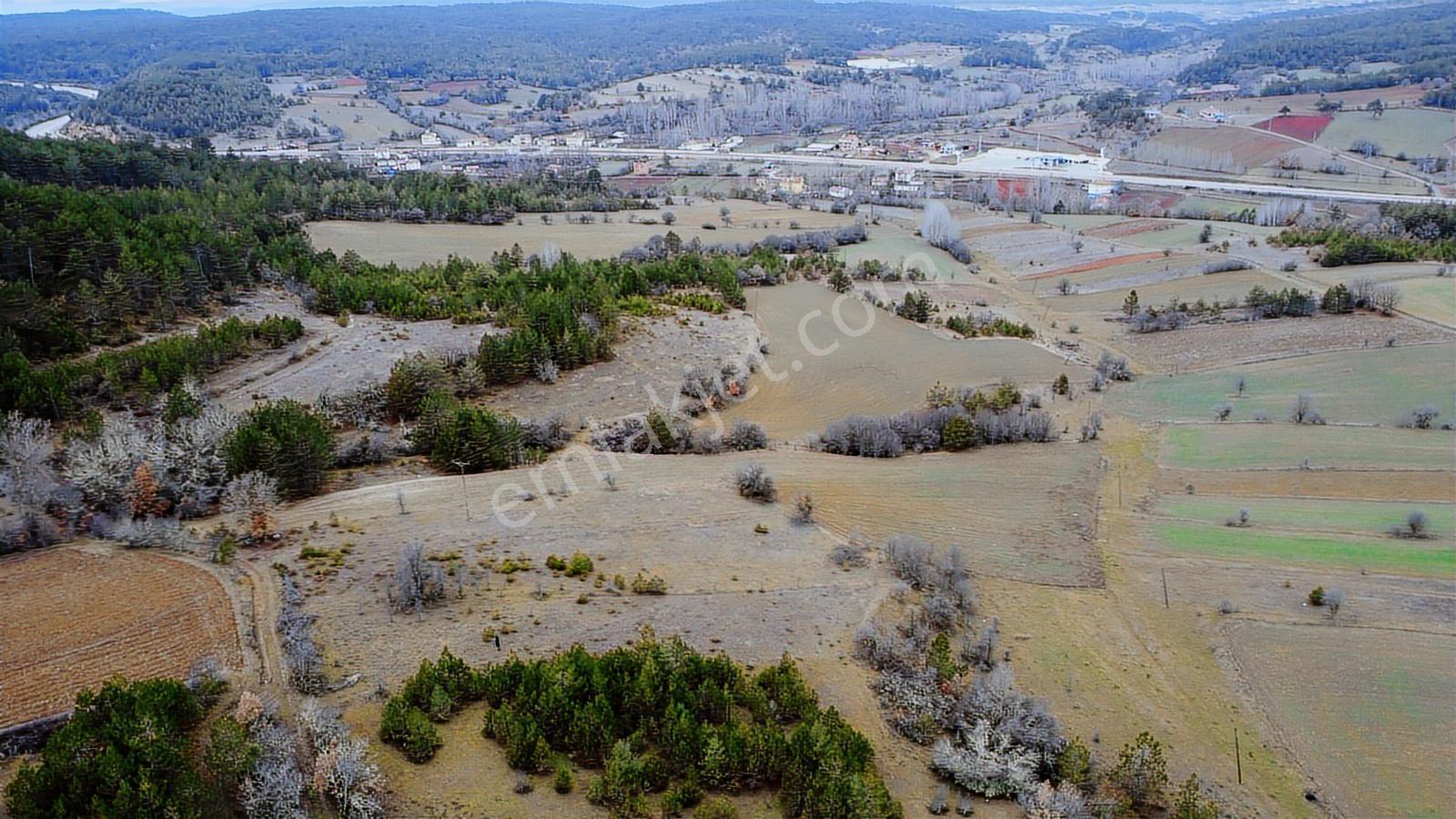 Kastamonu İhsangazi Dağyolu Köyünde 3200 Metre Resmi Yola Cephe - Görsel 3