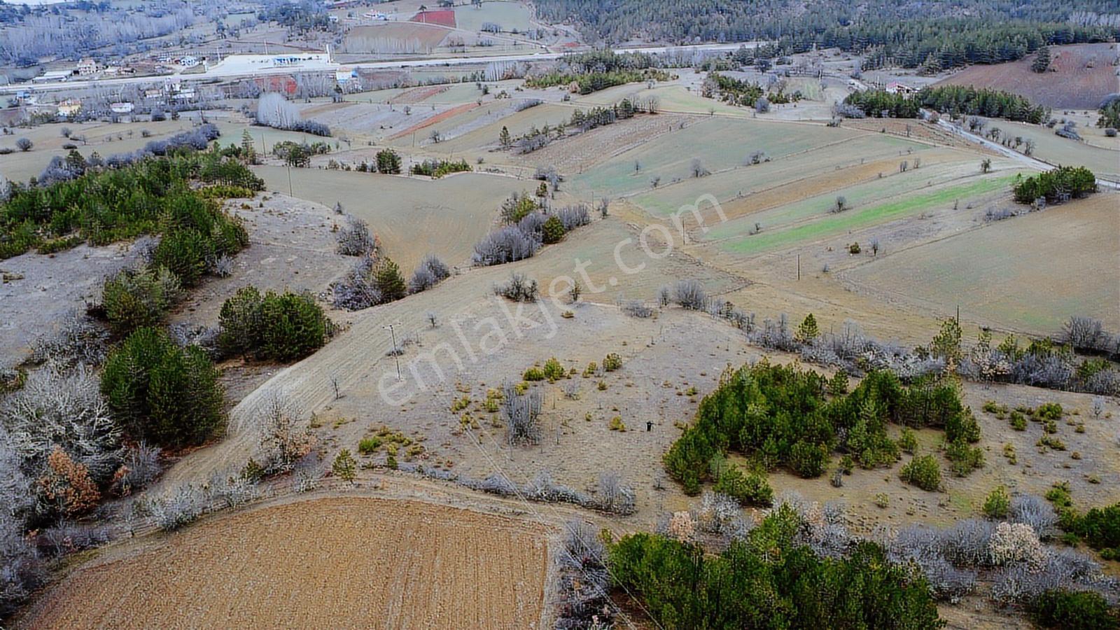 Kastamonu İhsangazi Dağyolu Köyünde 3200 Metre Resmi Yola Cephe - Görsel 7