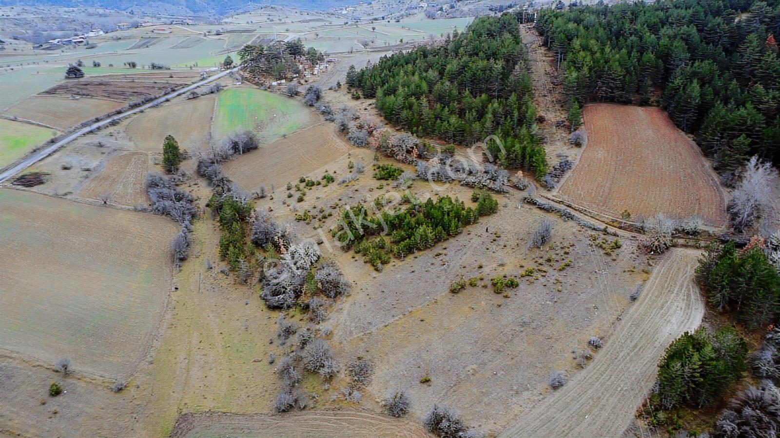 Kastamonu İhsangazi Dağyolu Köyünde 3200 Metre Resmi Yola Cephe - Görsel 37
