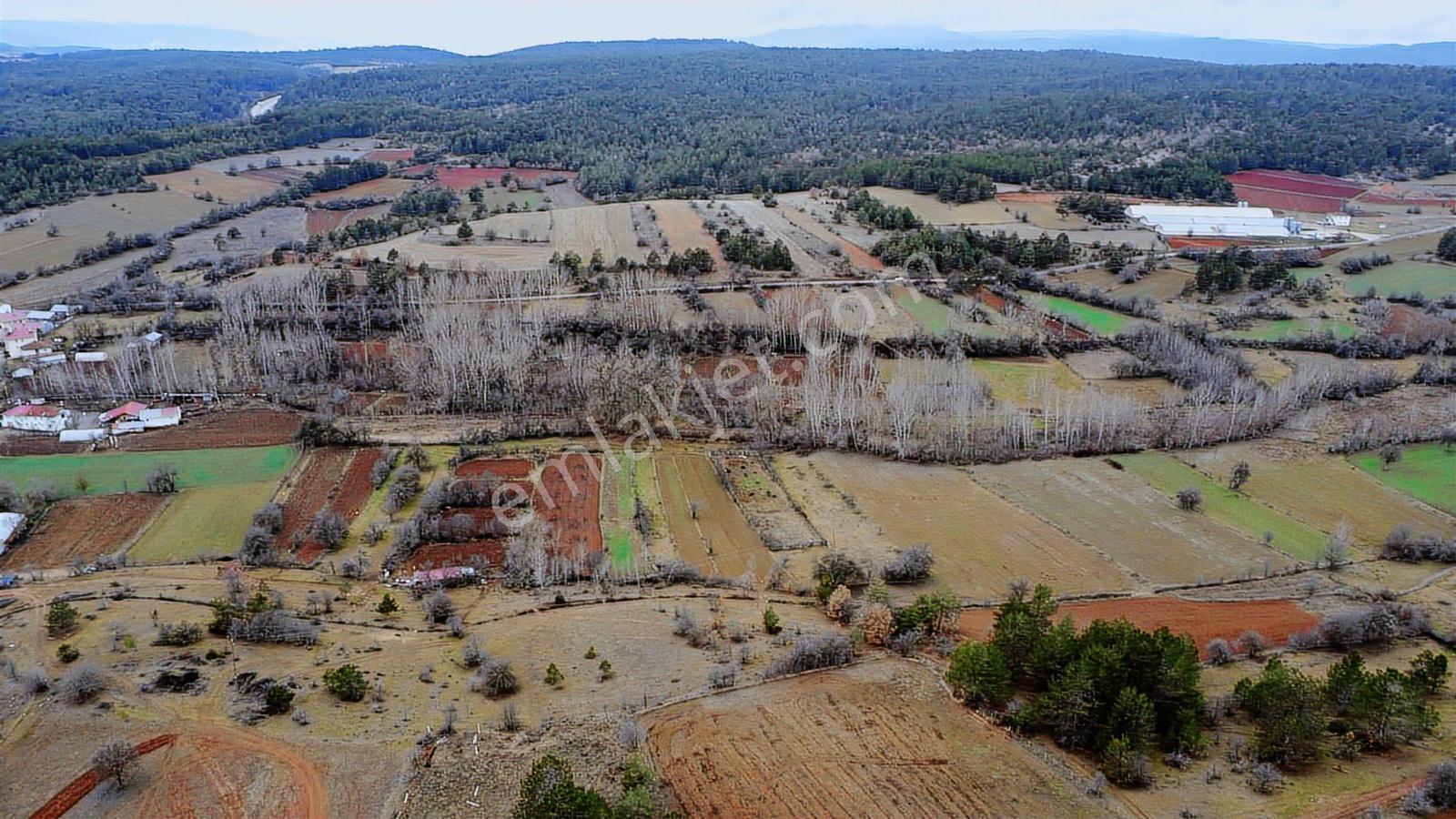 Kastamonu İhsangazi Dağyolu Köyünde 3200 Metre Resmi Yola Cephe - Görsel 38