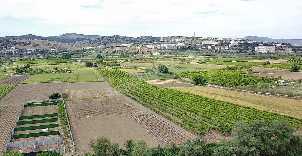 Manisa Yunusemre Yağcılar Mah. 195 M2 Satılık Tarla-bahçe - Görsel 9