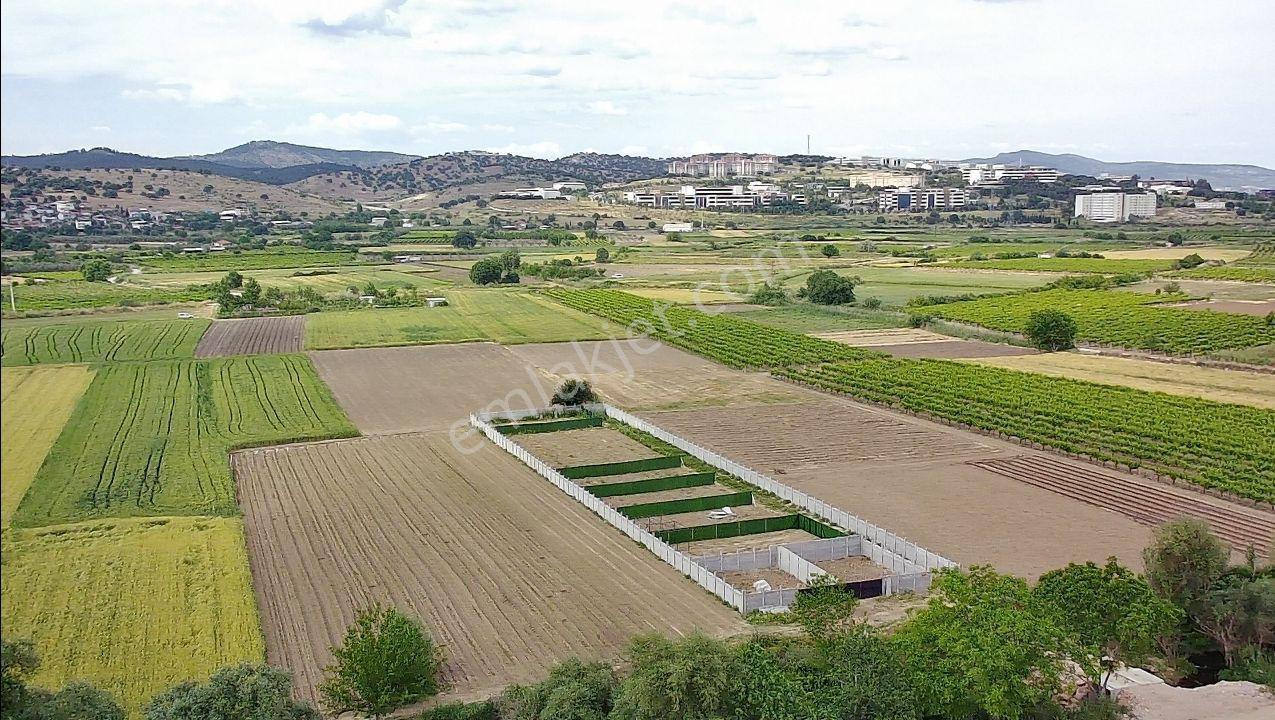 Manisa Yunusemre Yağcılar Mah. 195 M2 Satılık Tarla-bahçe - Görsel 13