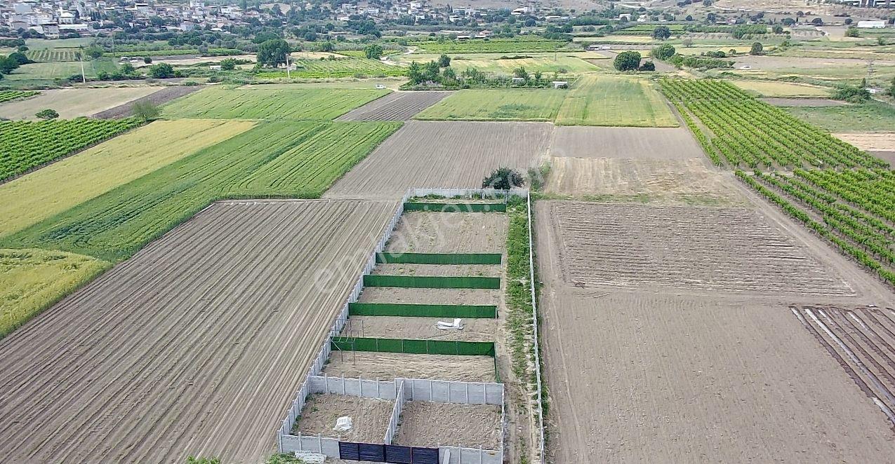 Manisa Yunusemre Yağcılar Mah. 195 M2 Satılık Tarla-bahçe - Görsel 6