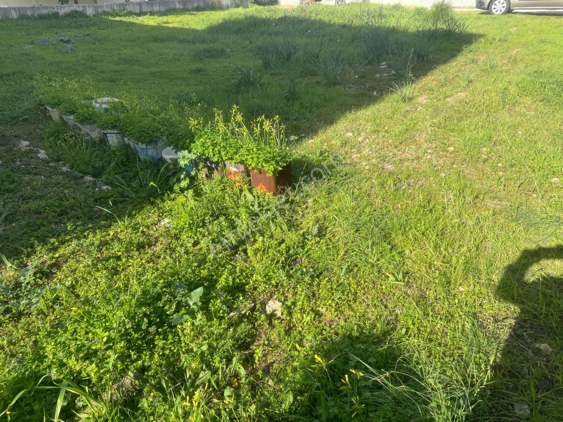 Didim Satılık Arsa 2.5 Kat İmarlı Yatırımlık Villa Arsası - Görsel 2