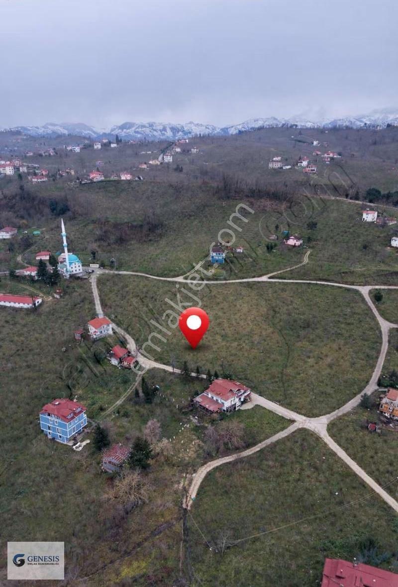 Genesis Emlaktan Artıklı Mah'de Müstakil Tapulu Satılık Bahçe - Görsel 2