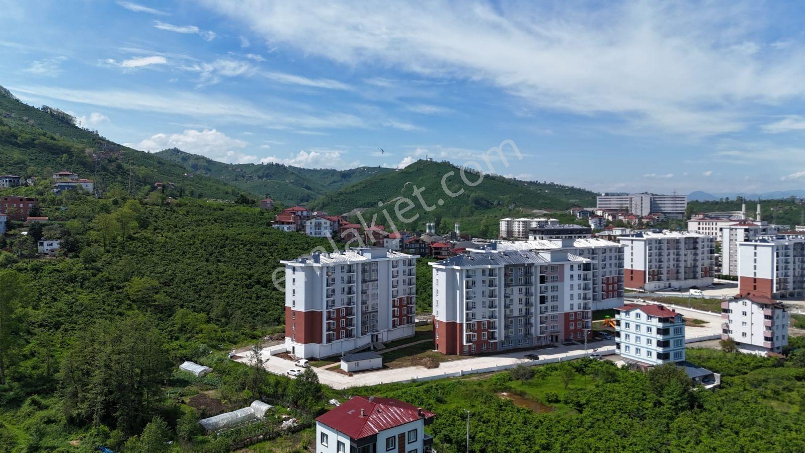 Site İçi 1+1 Balkonlu Ful Eşyalı İlk Oturan Siz Olun - Görsel 12