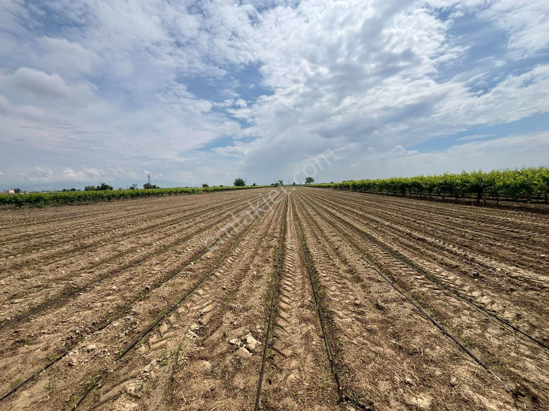 Tc Emlaktan Satılık ​ Yaklasık 10.500 M2 6 Lık Su Ve Sondaj Mevcut - Görsel 20