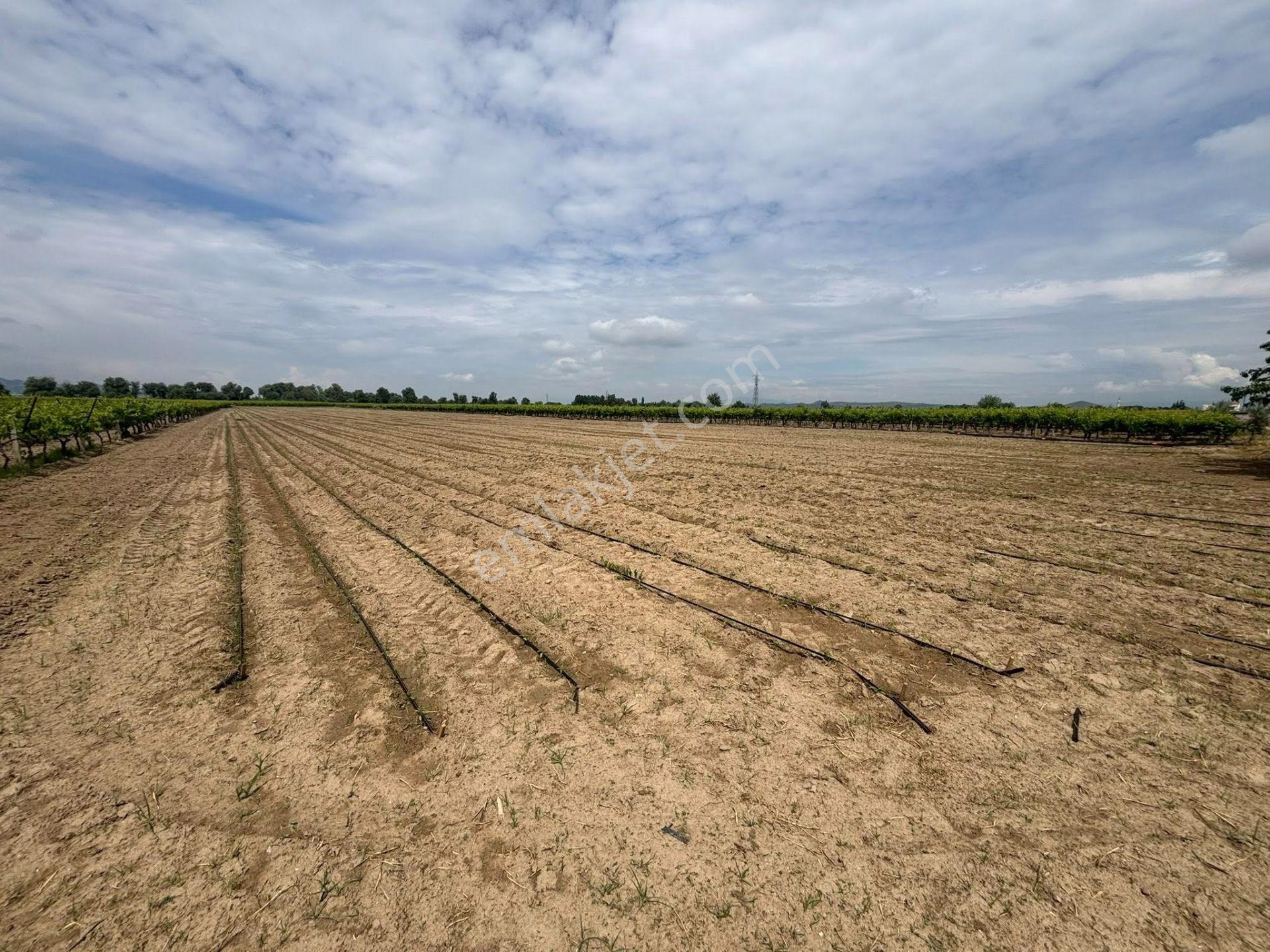 Tc Emlaktan Satılık ​ Yaklasık 10.500 M2 6 Lık Su Ve Sondaj Mevcut - Görsel 6