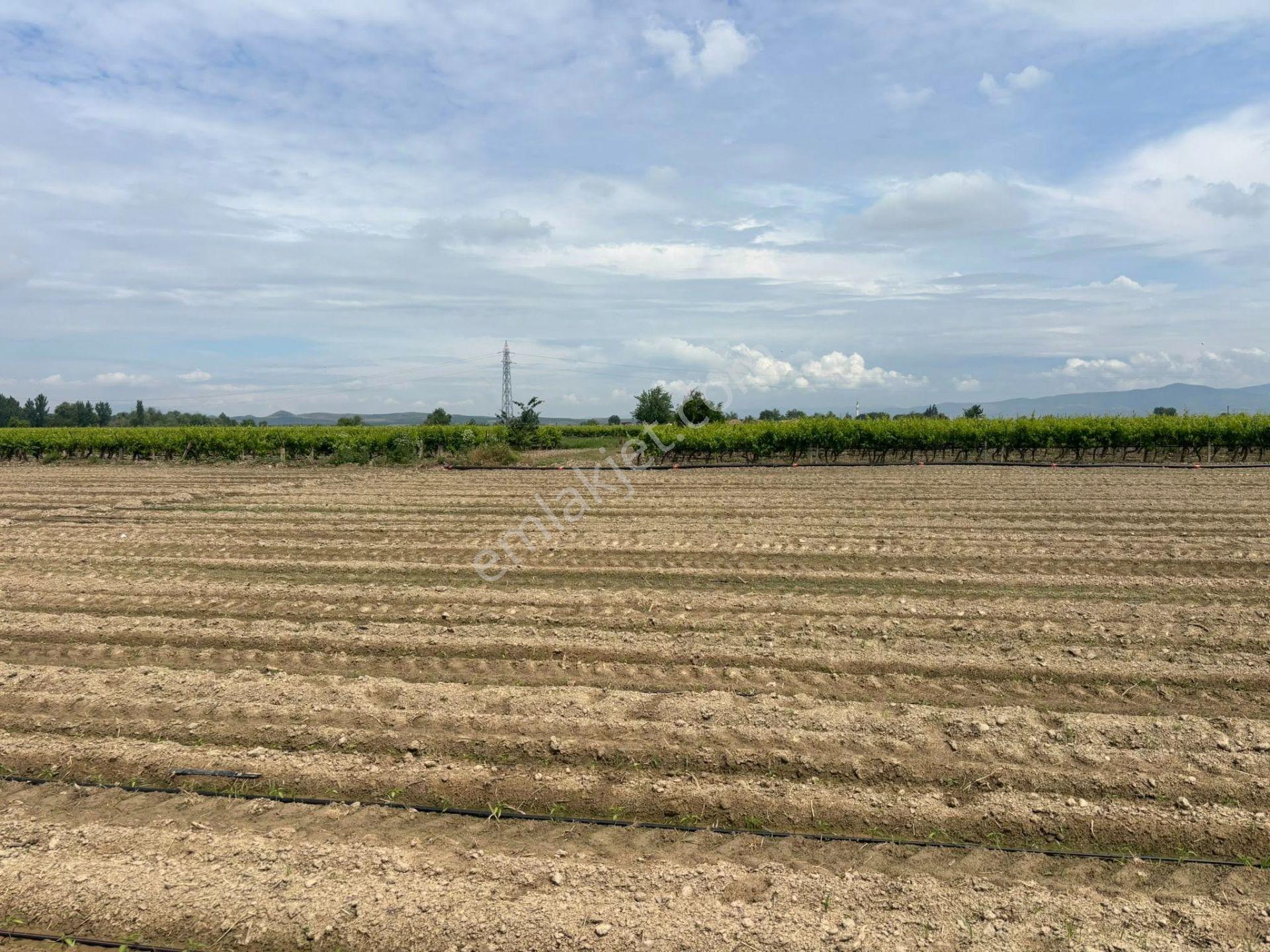 Tc Emlaktan Satılık ​ Yaklasık 10.500 M2 6 Lık Su Ve Sondaj Mevcut - Görsel 21