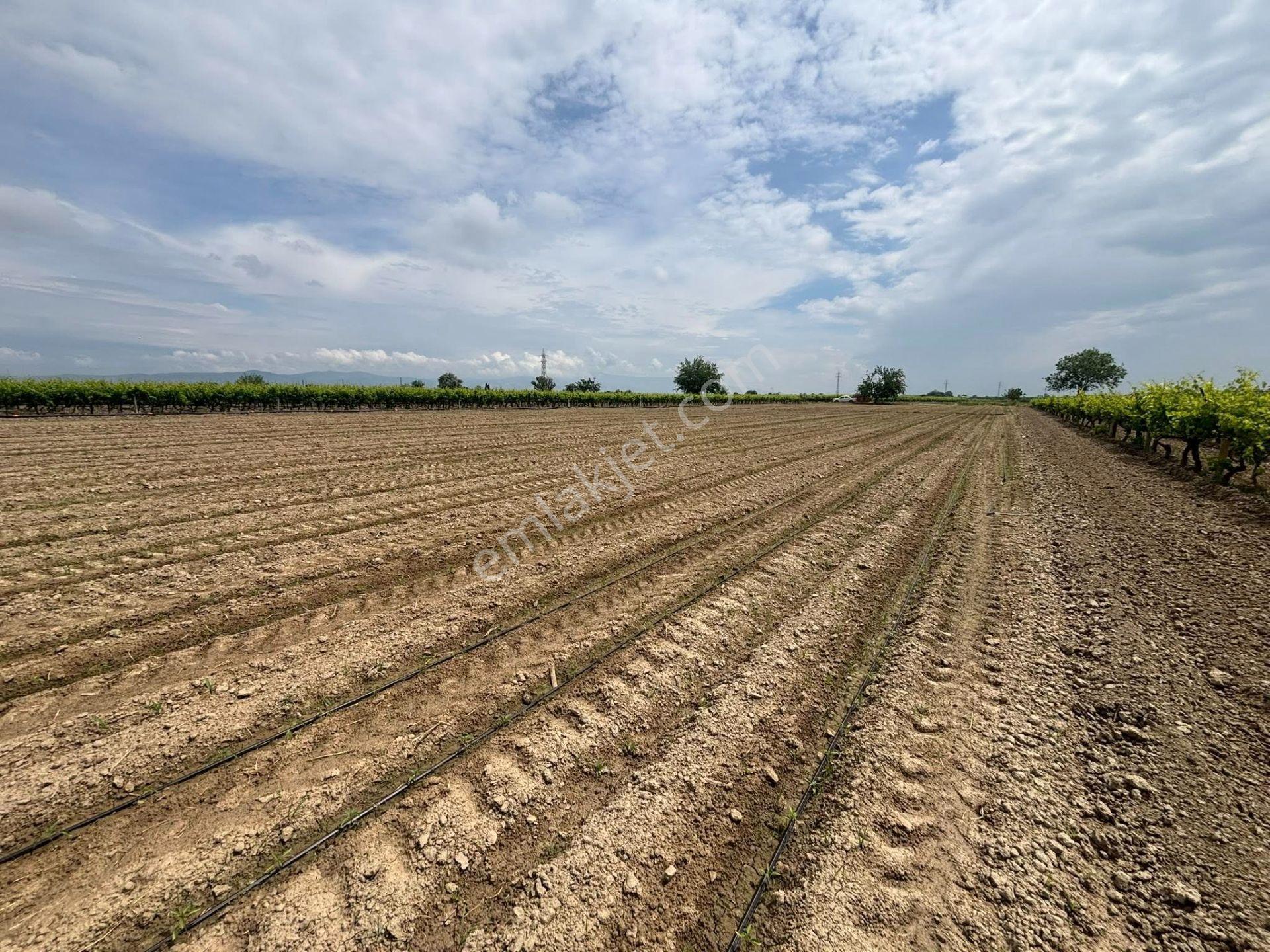 Tc Emlaktan Satılık ​ Yaklasık 10.500 M2 6 Lık Su Ve Sondaj Mevcut - Görsel 23