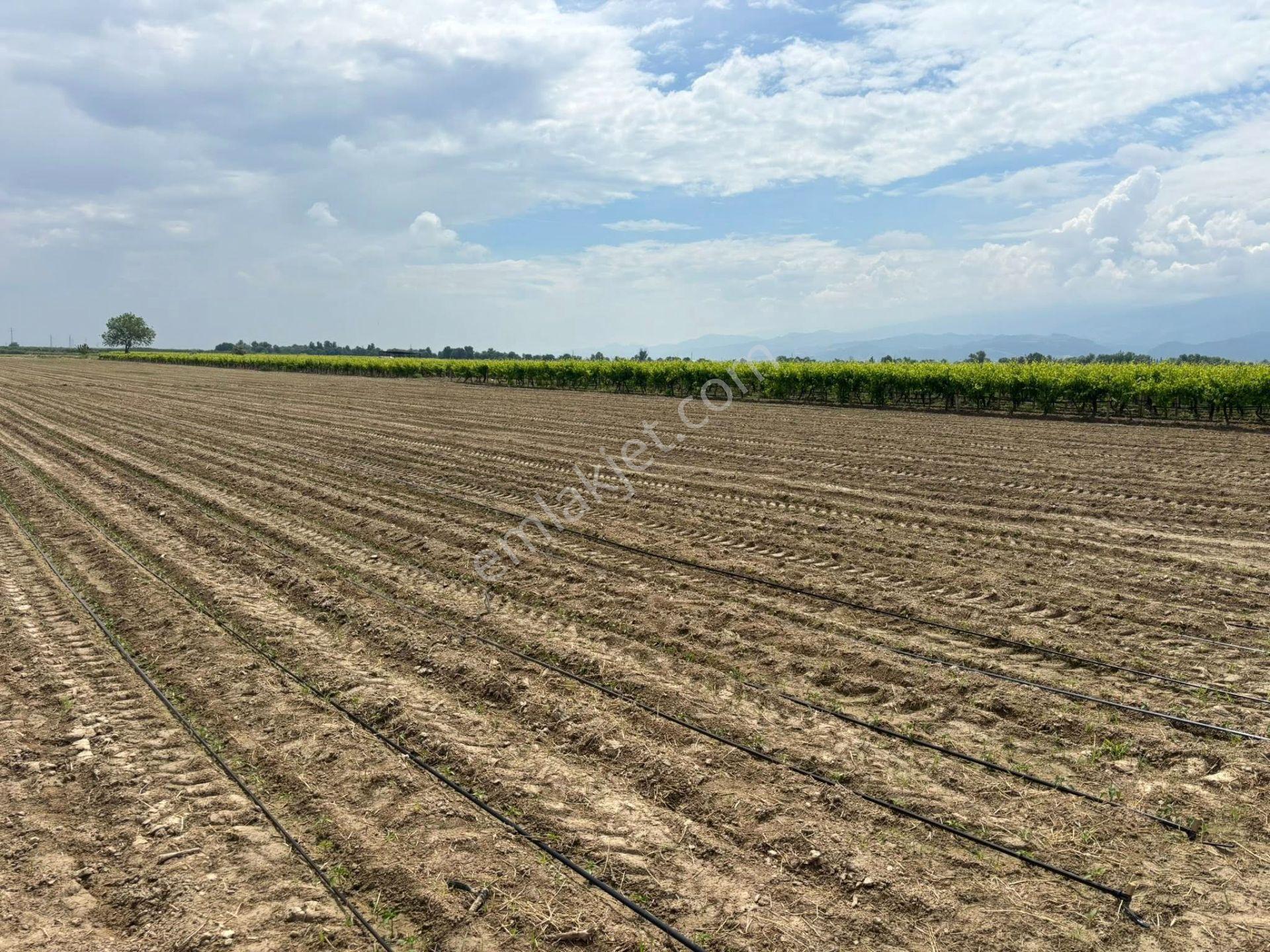 Tc Emlaktan Satılık ​ Yaklasık 10.500 M2 6 Lık Su Ve Sondaj Mevcut - Görsel 5