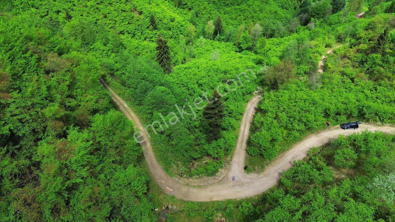 Trabzon Arsin'de Satılık Arazi - Görsel 4
