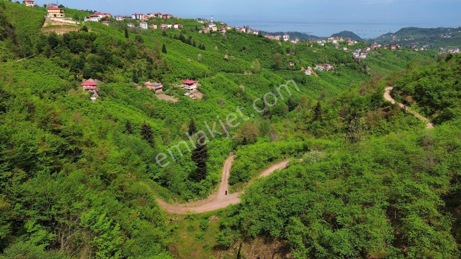 Trabzon Arsin'de Satılık Arazi