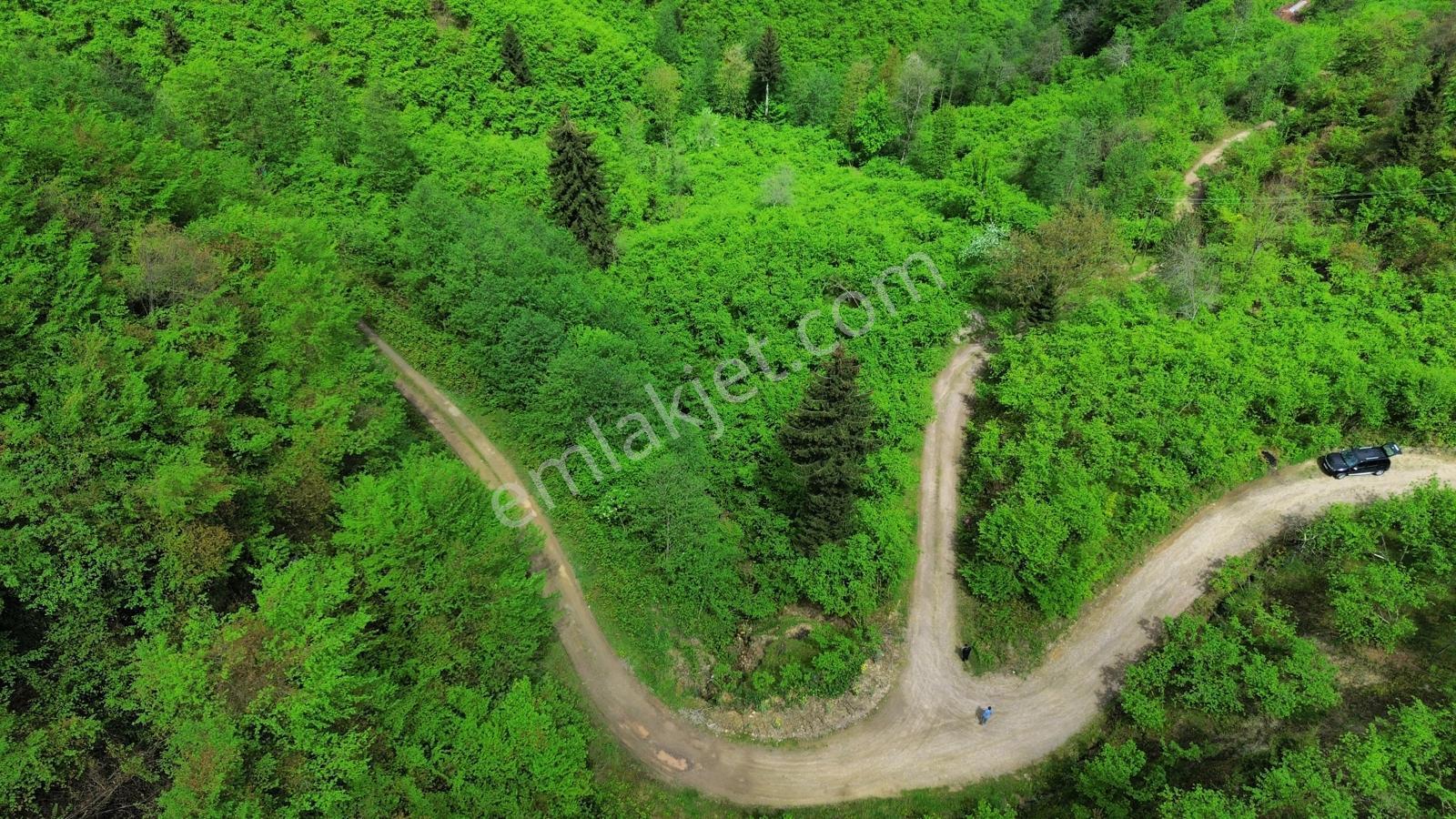 Trabzon Arsin'de Satılık Arazi - Görsel 6