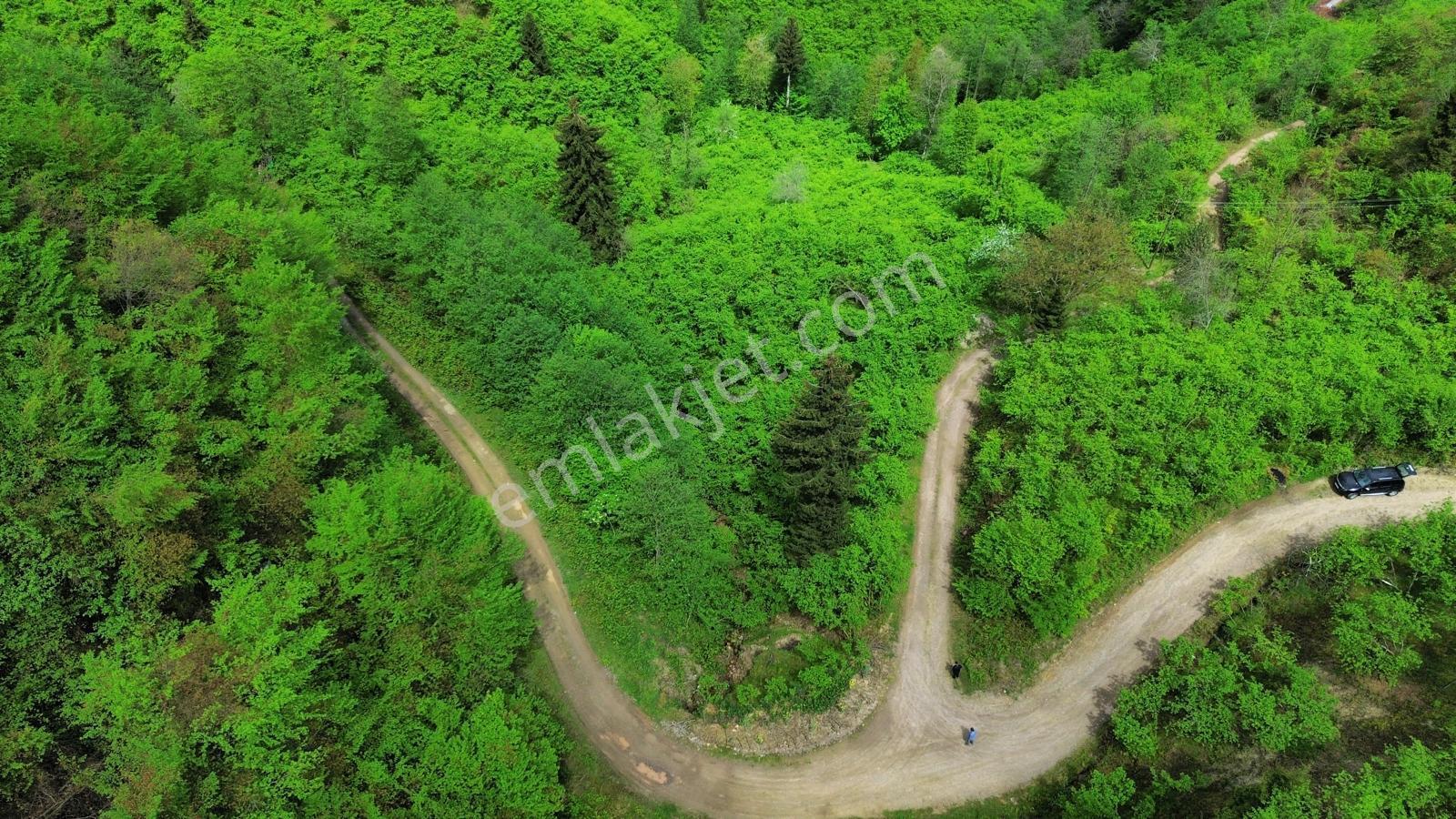 Trabzon Arsin'de Satılık Arazi - Görsel 10