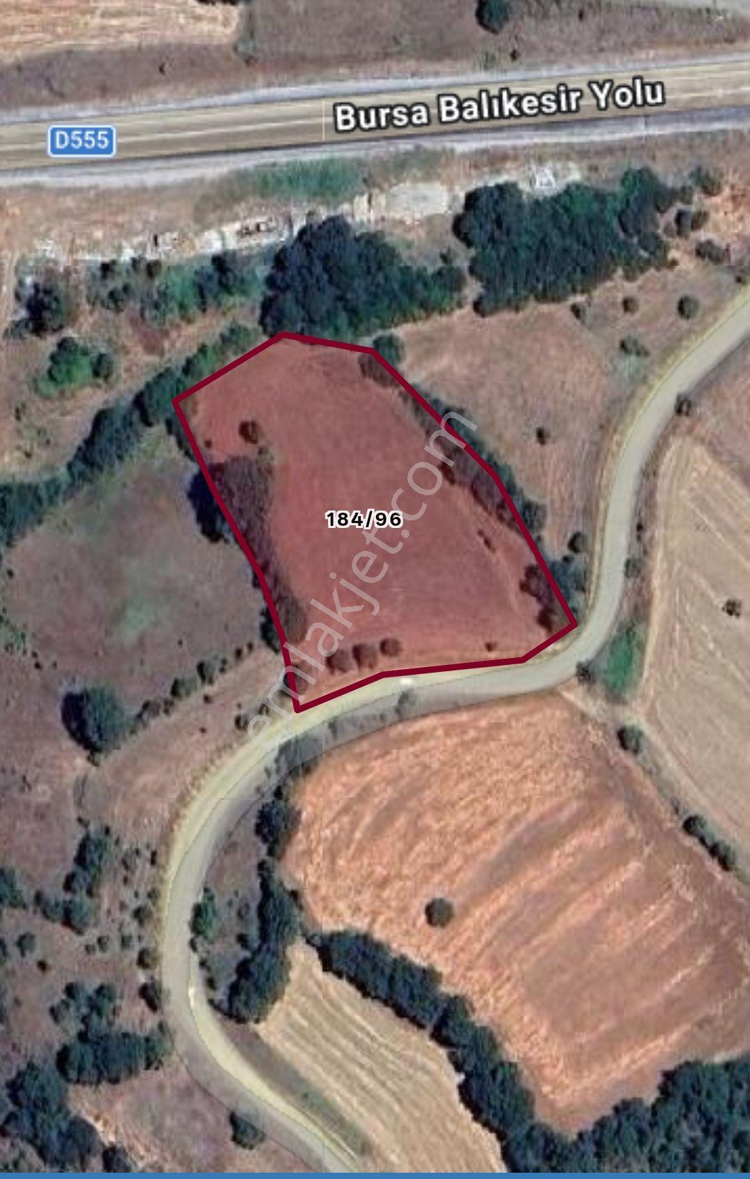 Se&as Exclusıve: Çanakale Yenice Çal'da Yatırımlık Tarlalar - Görsel 9