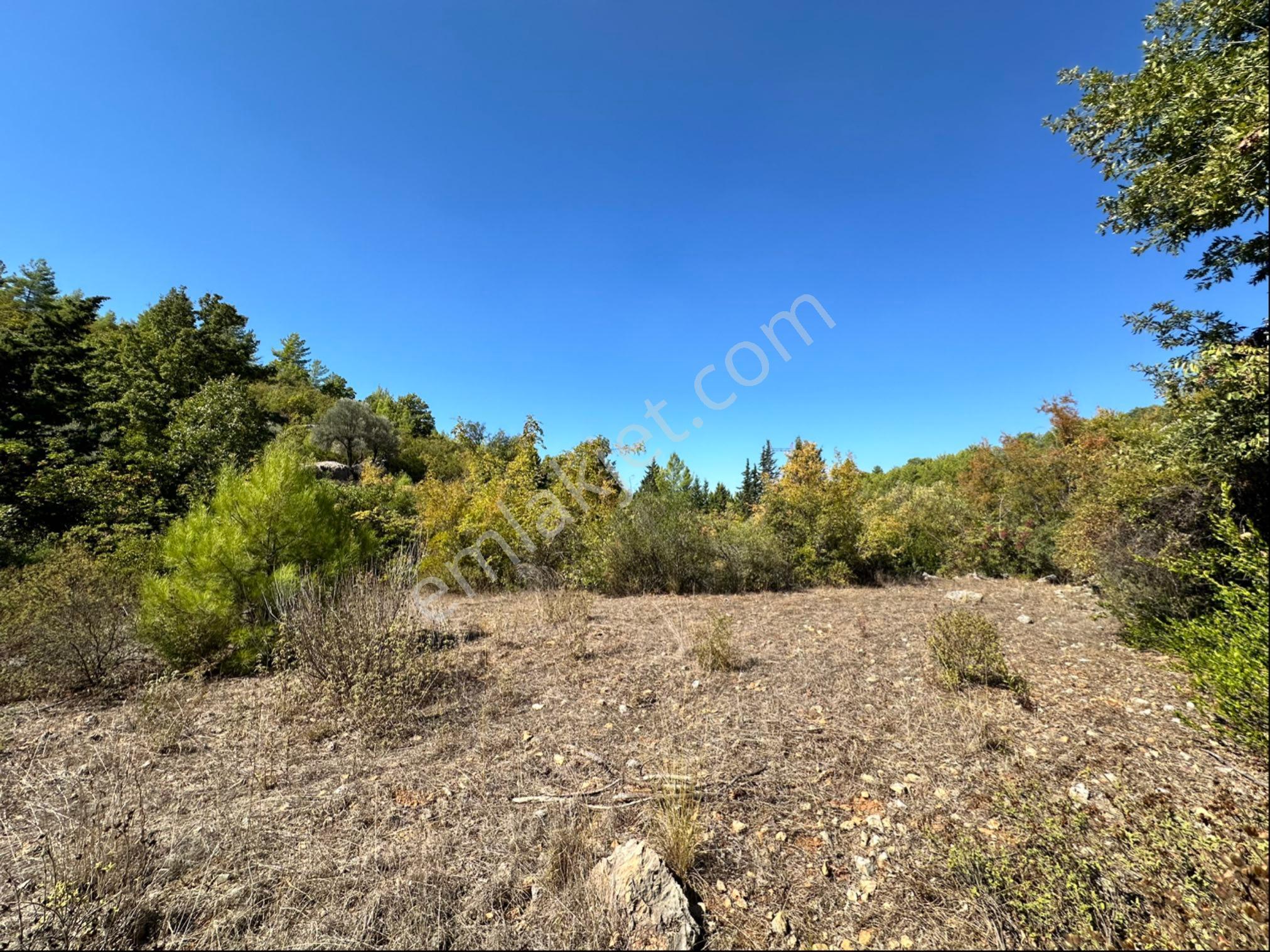 Alanya Orhanda Satılık 1.165 M2 Tarla - Görsel 17