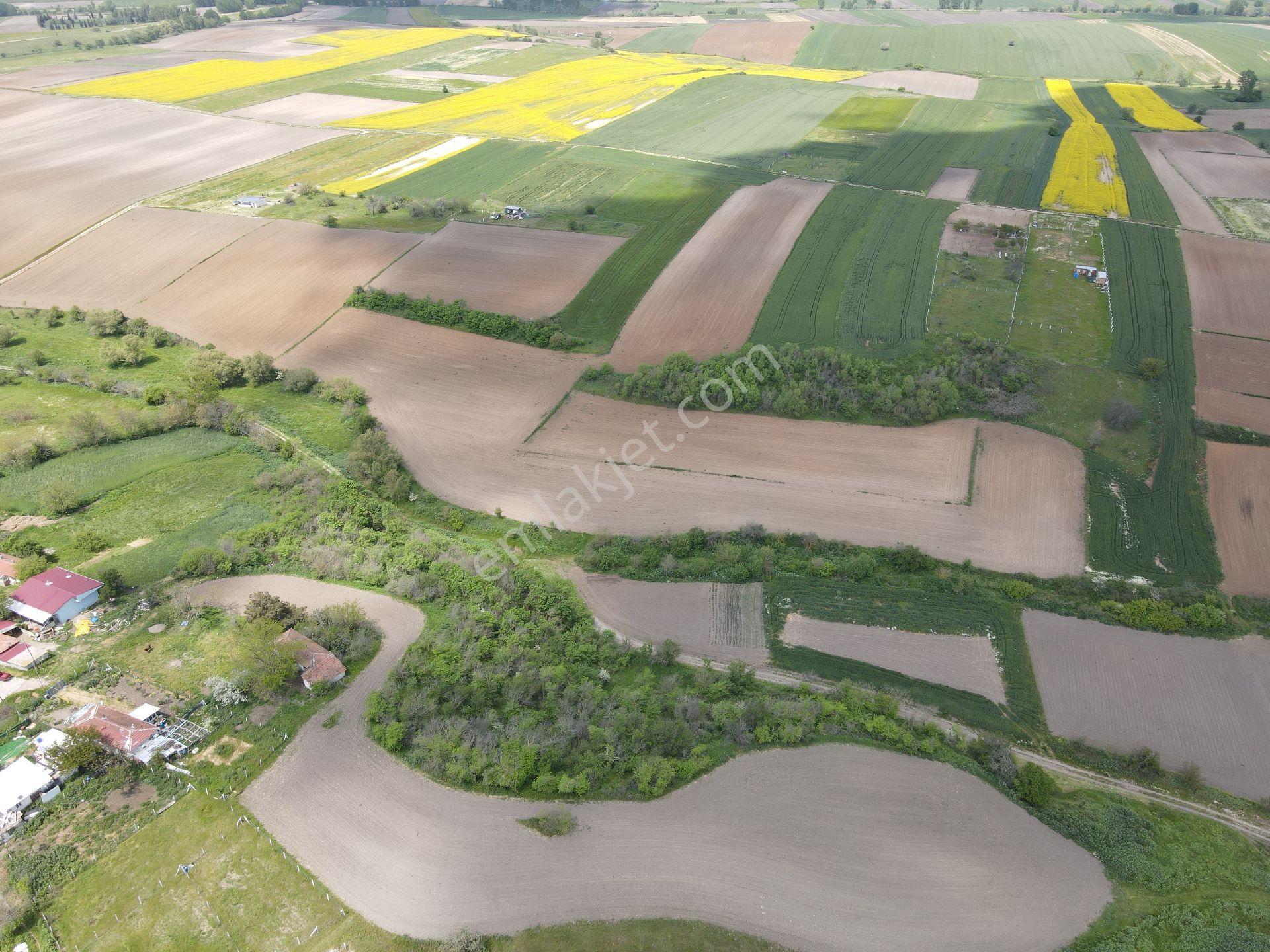 Re/max Land'ten 1181 M2 Tek Tapu İmarlı Arsa Saray Kurtdere Mah. - Görsel 9